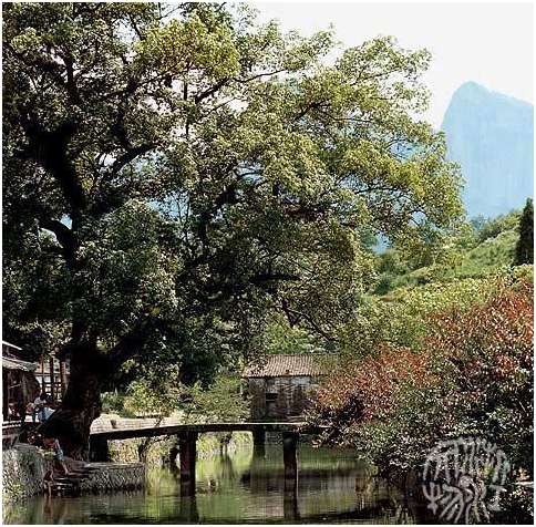 1484296710377722.png blob.png