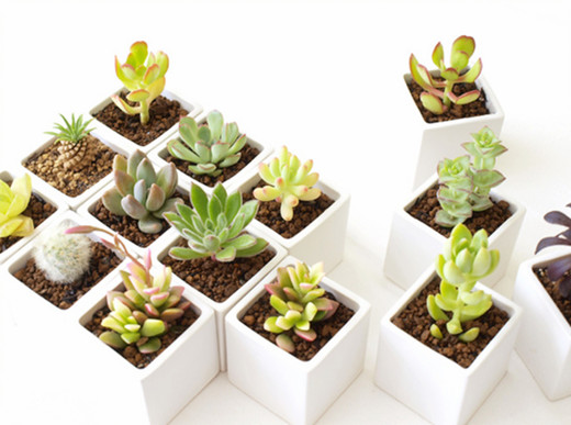 1496710831288485.jpg 537d71e274e0d.jpg