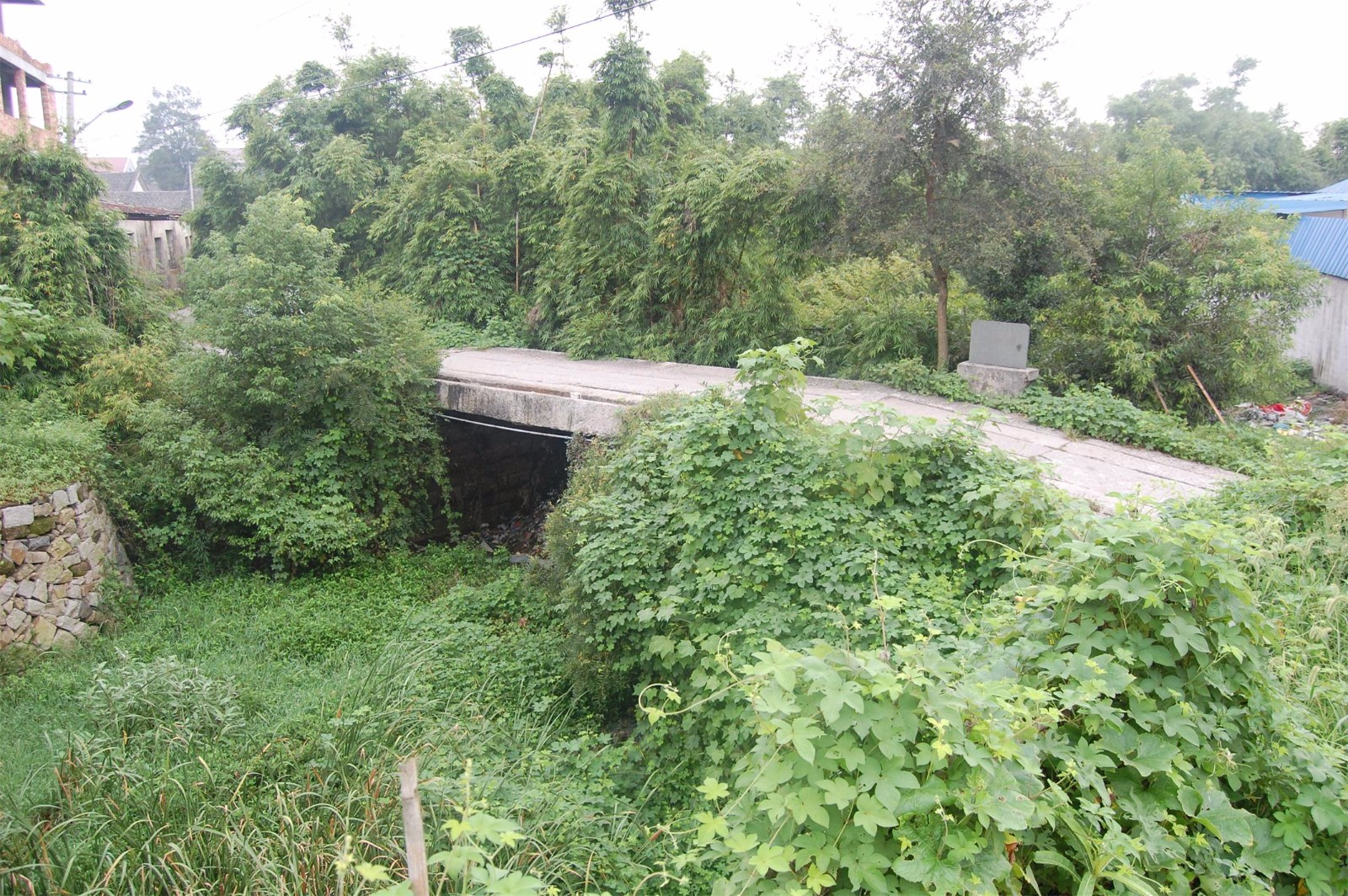 1550455646638720.jpg 1550455646638720.jpg