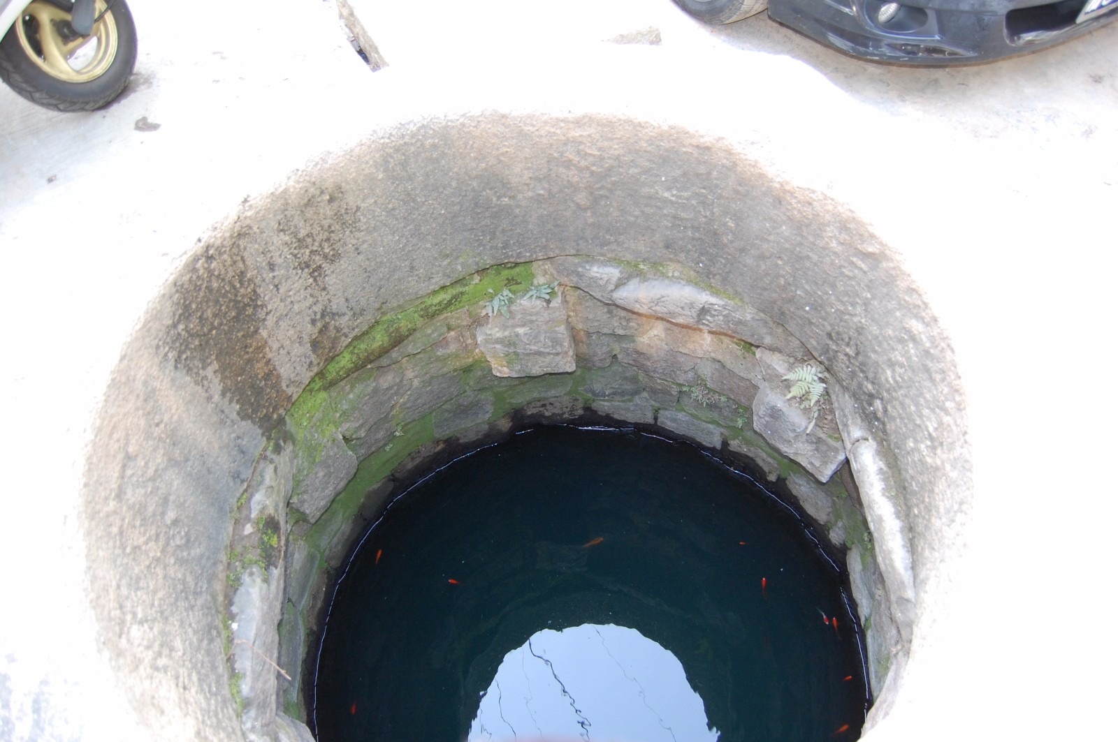 1550475857100436.jpg 1550475857100436.jpg