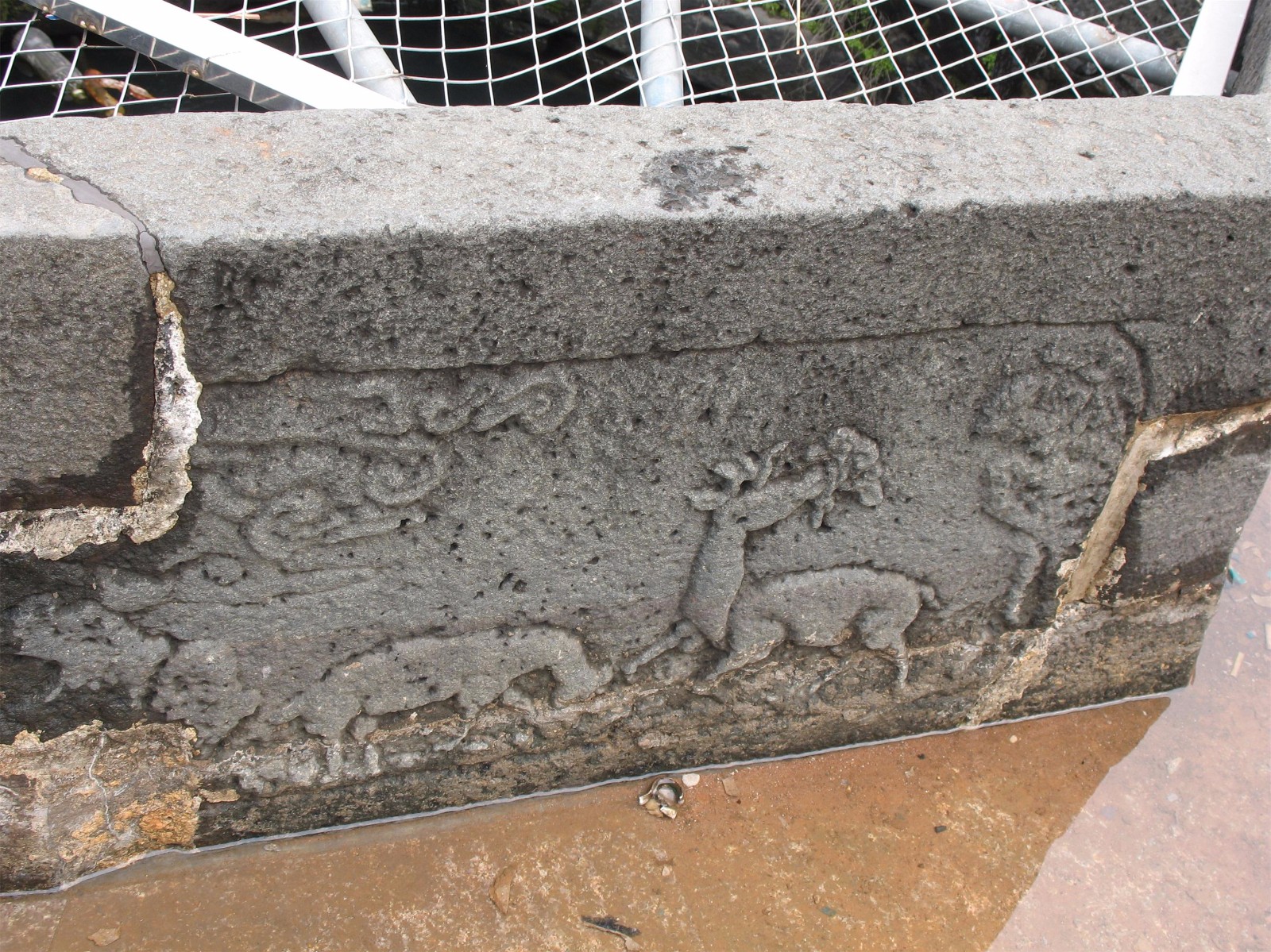 1550476420136337.jpg 1550476420136337.jpg