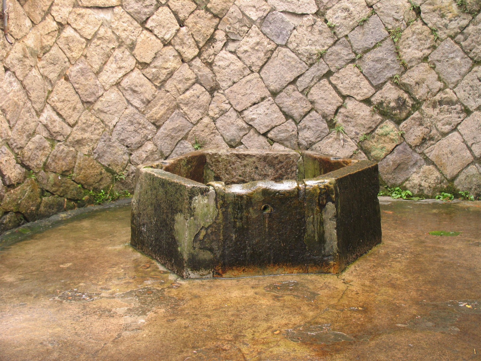 1550477344515649.jpg 1550477344515649.jpg