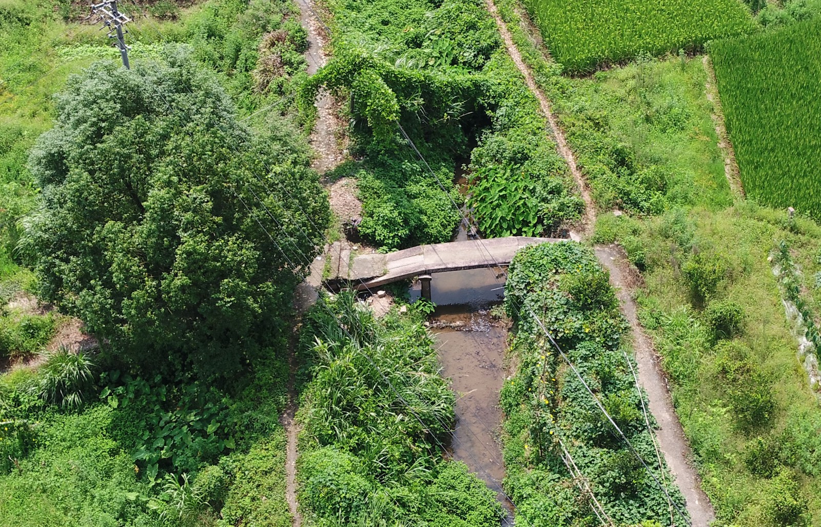 1573808043760199.jpg 宋桥2.jpg