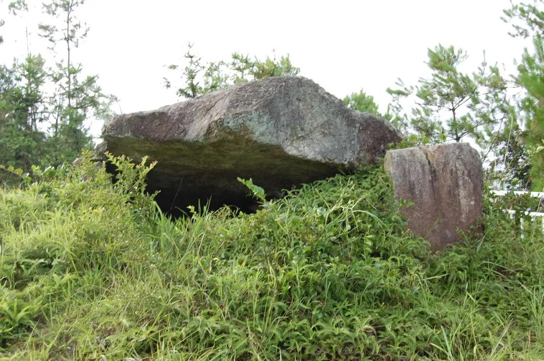 1587862647125114.jpg 1587862647125114.jpg