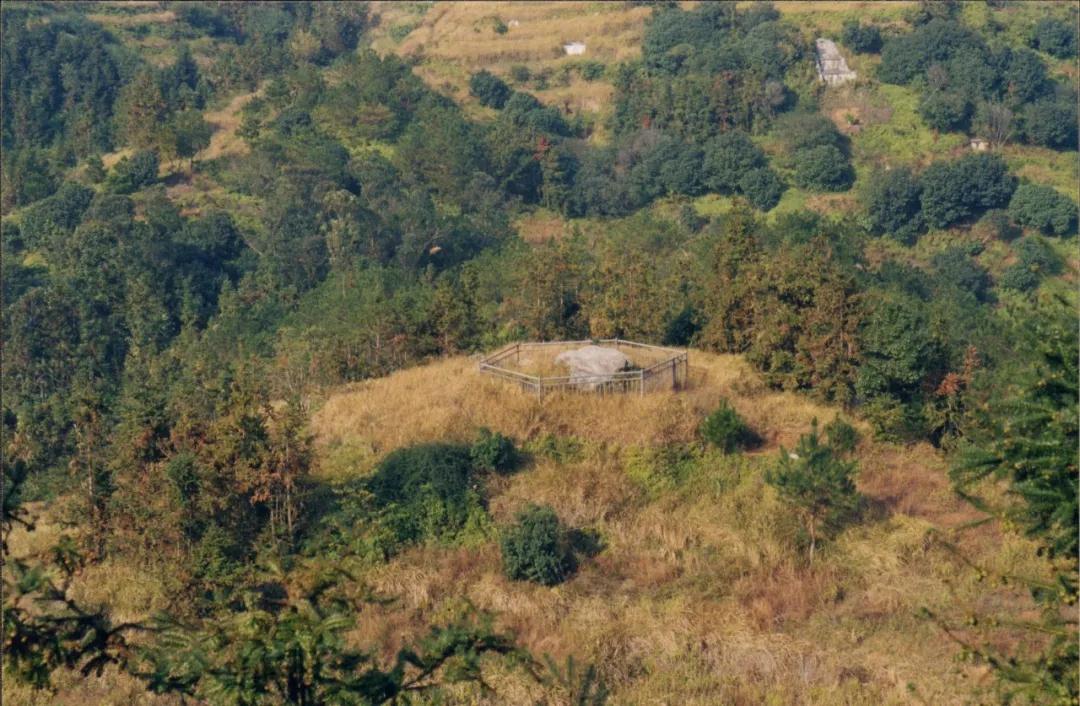 1587862757950141.jpg 1587862757950141.jpg