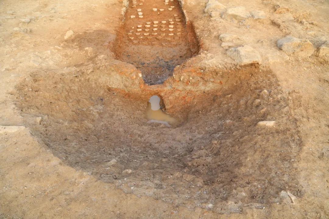 1587863215645691.jpg 1587863215645691.jpg