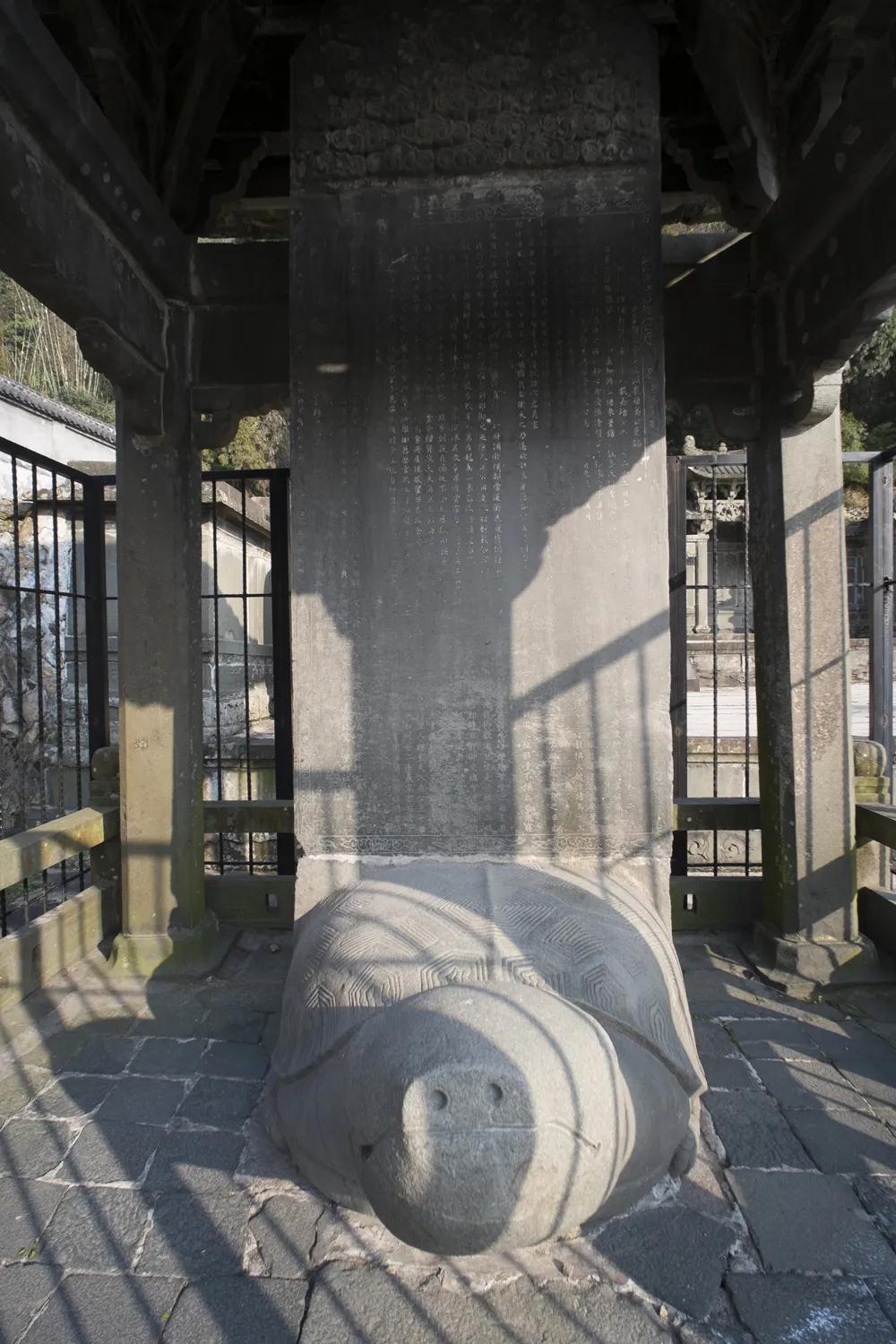 1587864466350235.jpg 1587864466350235.jpg