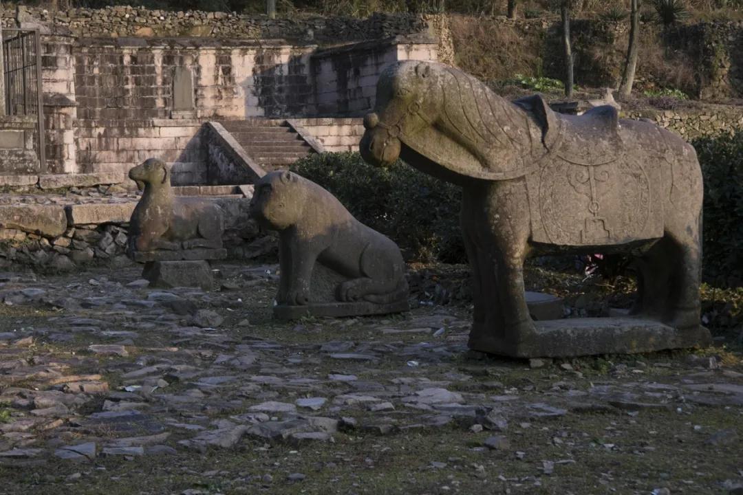 1587864498120794.jpg 1587864498120794.jpg