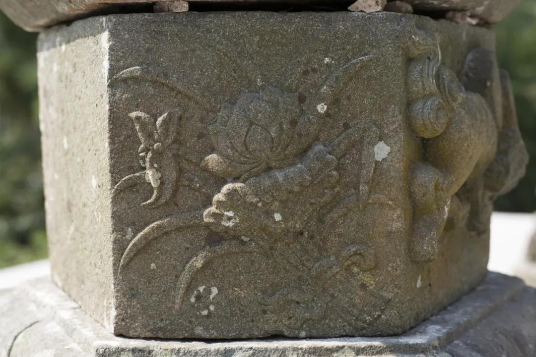 1587864893820788.jpg 1587864893820788.jpg