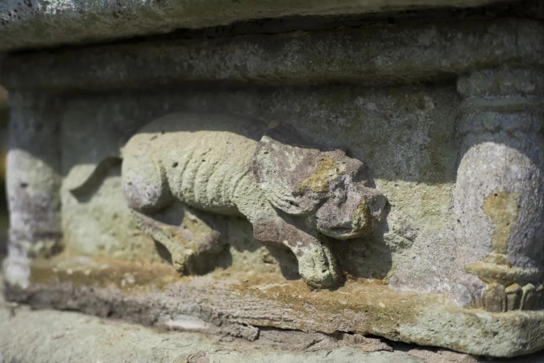 1587866541115196.jpg 1587866541115196.jpg