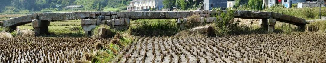 1587883369993560.jpg 1587883369993560.jpg