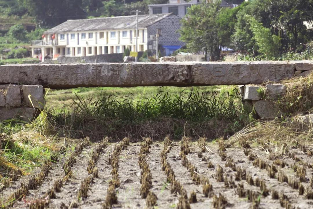 1587883380160723.jpg 1587883380160723.jpg