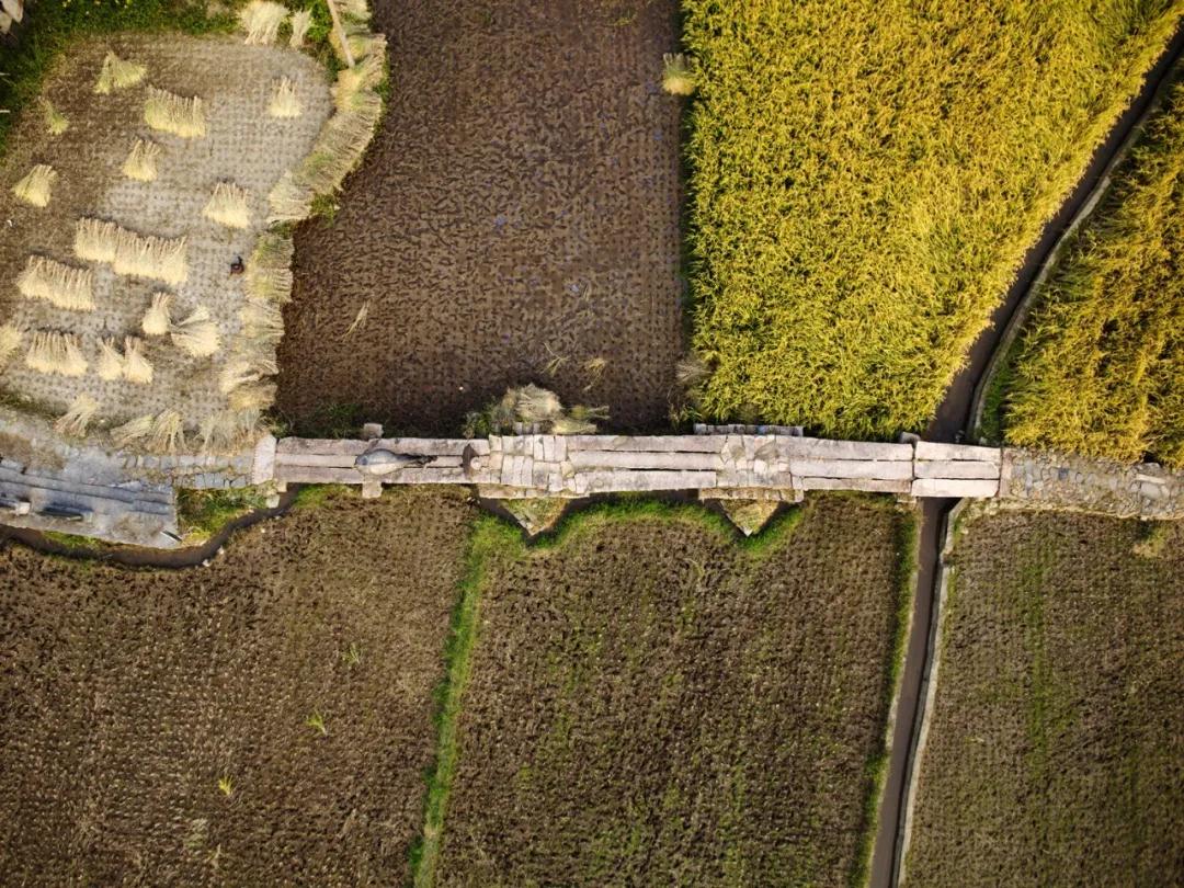 1587883437127008.jpg 1587883437127008.jpg