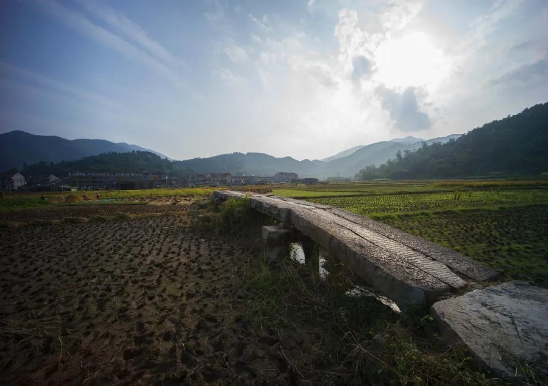 1587883437135244.jpg 1587883437135244.jpg