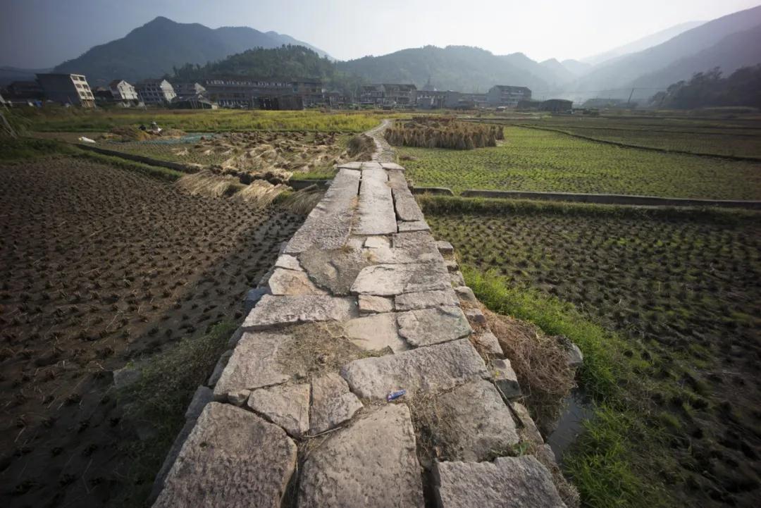 1587883462115036.jpg 1587883462115036.jpg