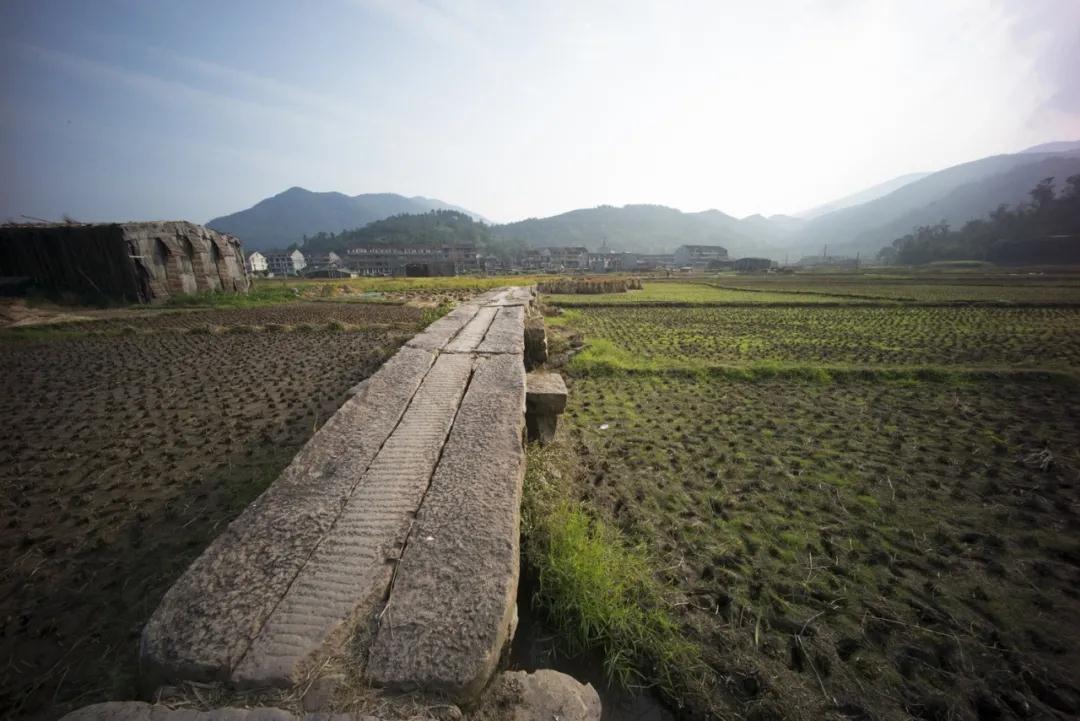 1587883462139083.jpg 1587883462139083.jpg