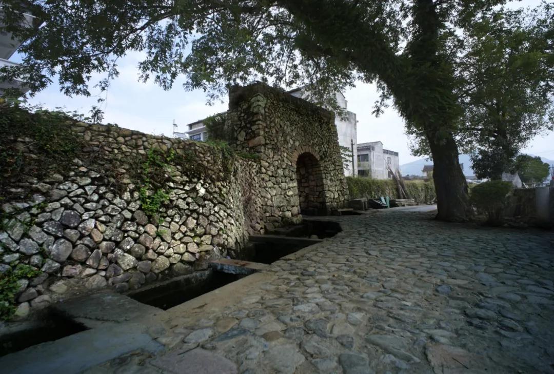 1587885763115023.jpg 1587885763115023.jpg