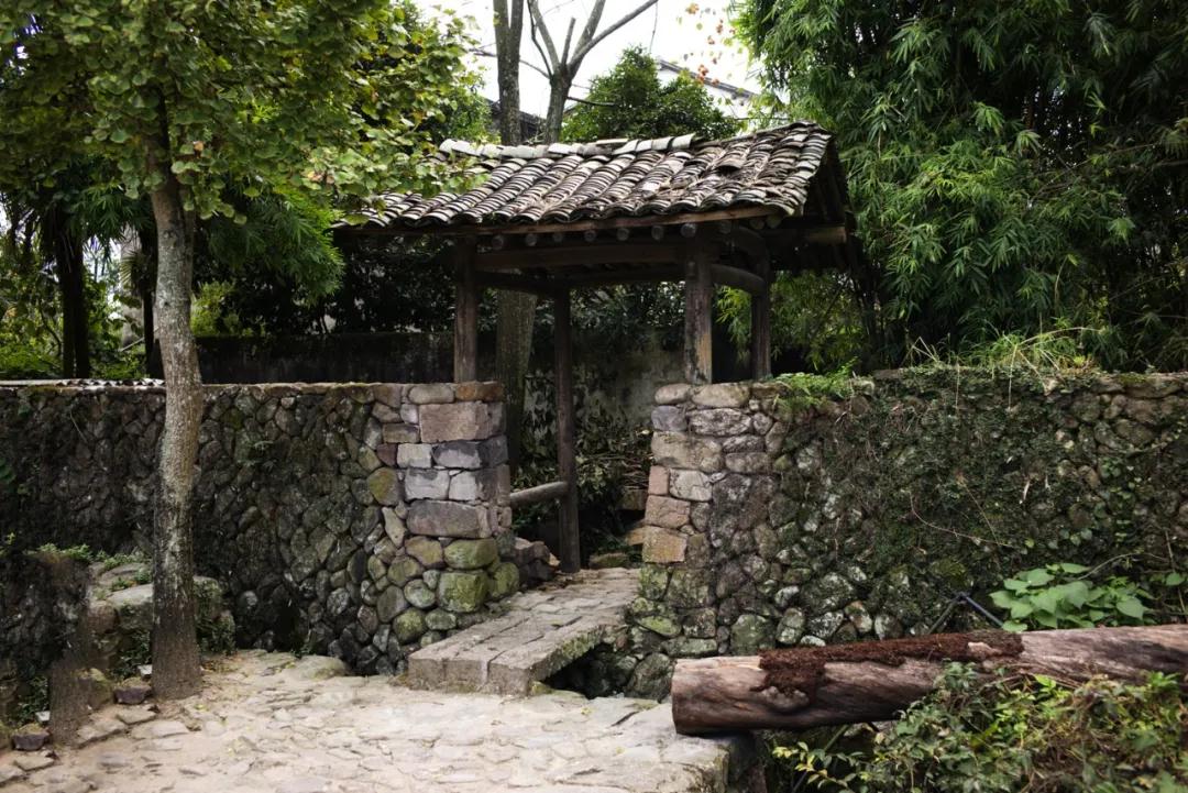 1587885784119232.jpg 1587885784119232.jpg