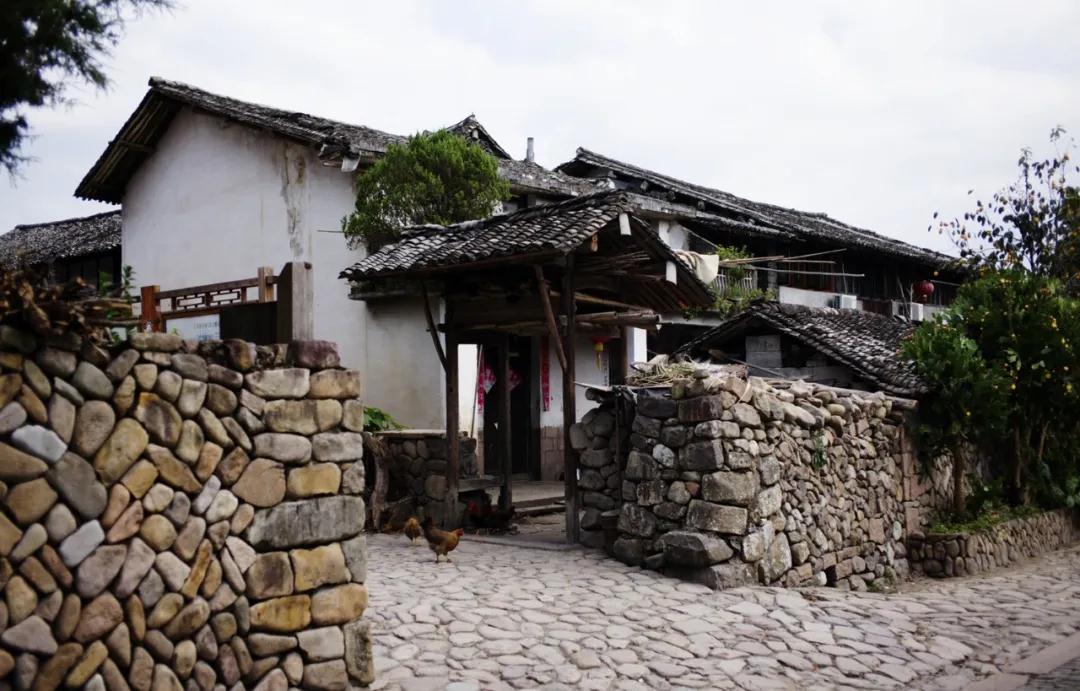 1587885934845402.jpg 1587885934845402.jpg