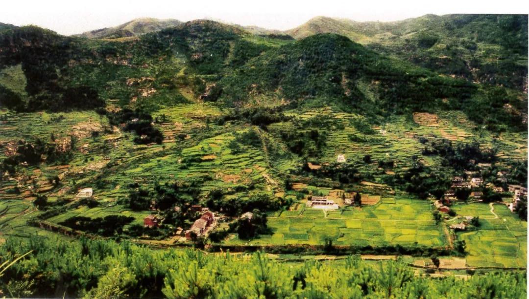 1587888728795657.jpg 1587888728795657.jpg