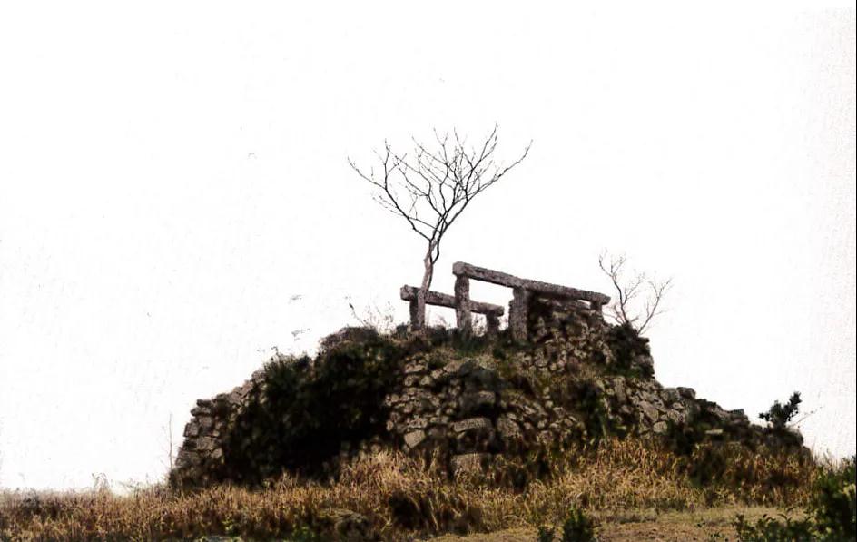 1587888785588674.jpg 1587888785588674.jpg