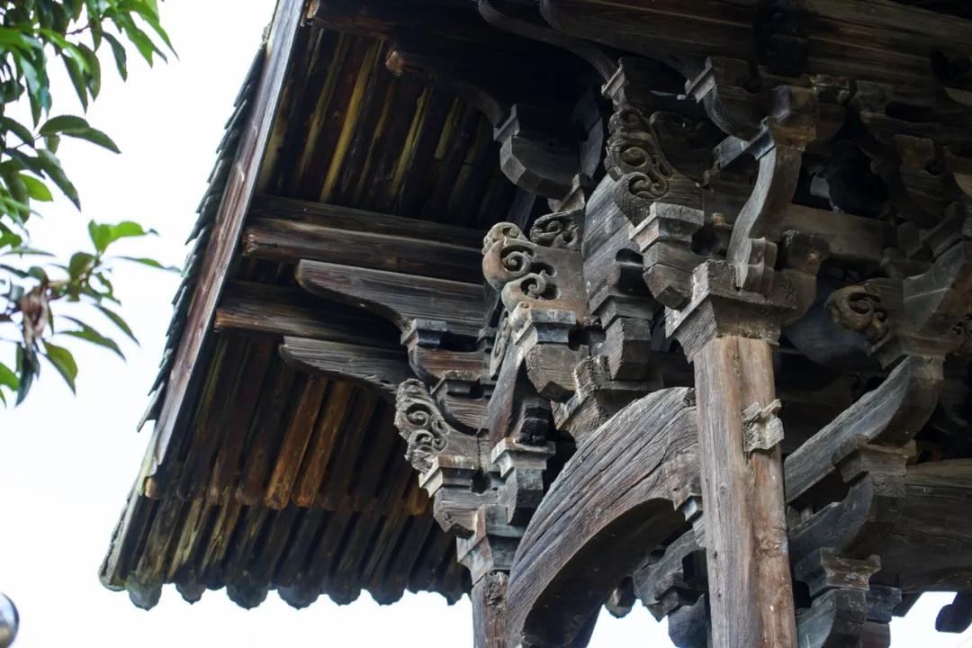 1587890109218171.jpg 1587890109218171.jpg