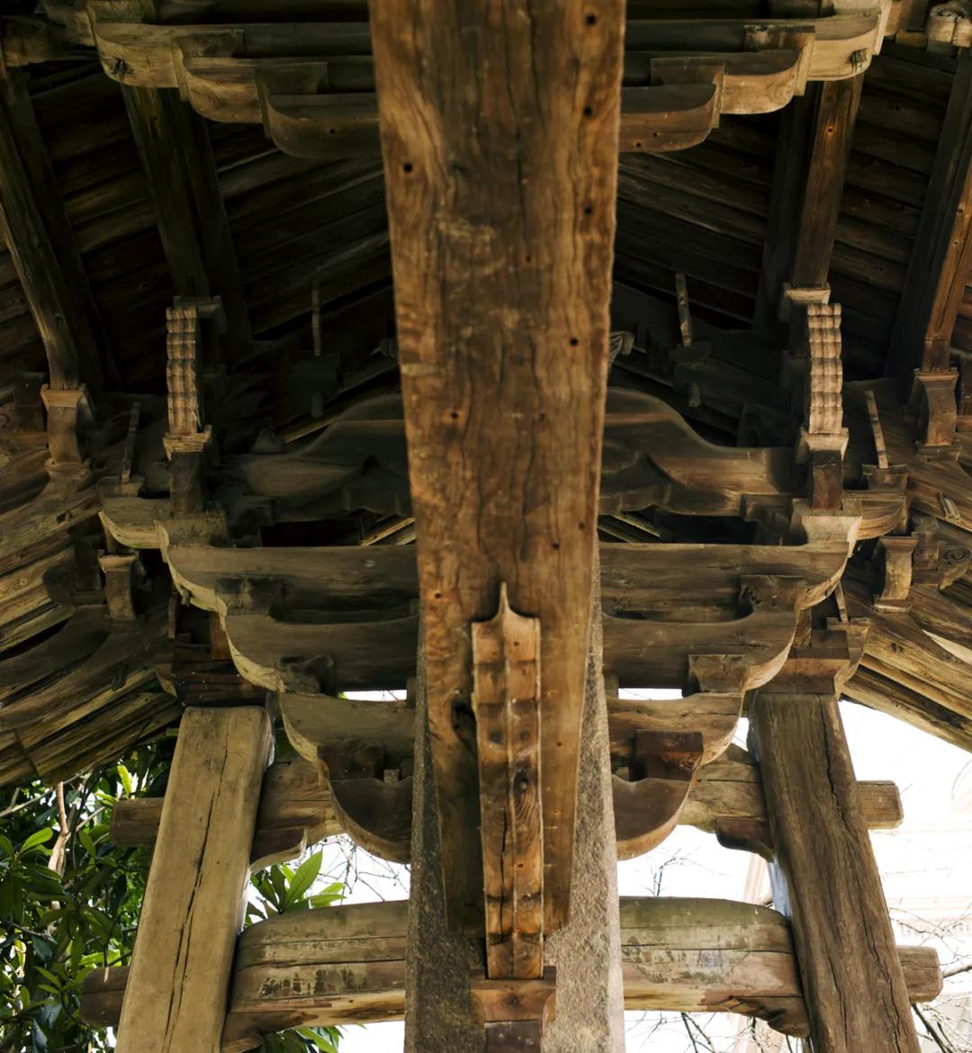 1587890158128045.jpg 1587890158128045.jpg